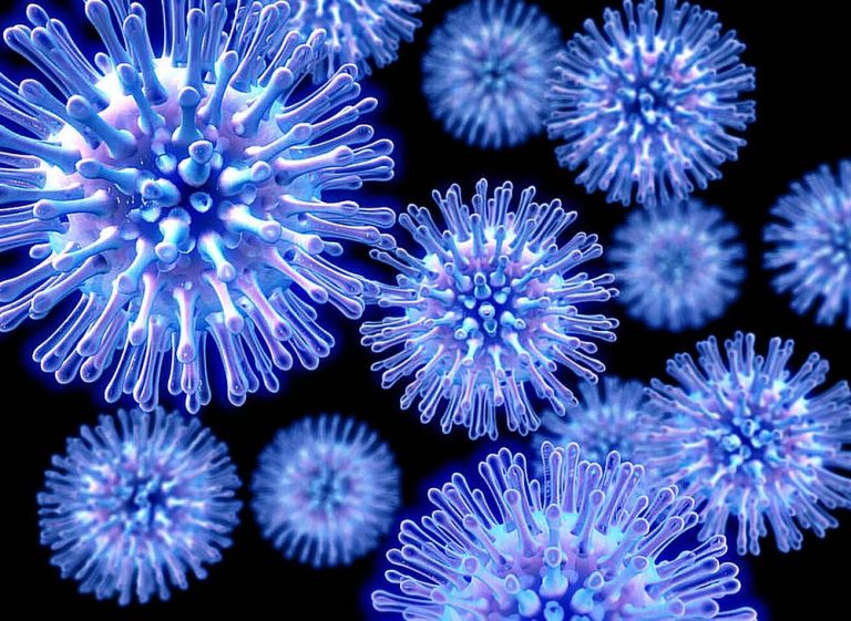 Енцефаліт – у чому полягає підступність хвороби та як її можна виявити