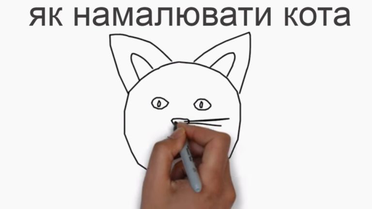 Як легко намалювати мордочку кота