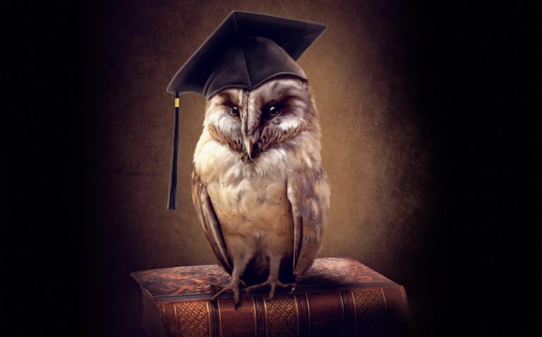 Мудрі цитати про вдячність