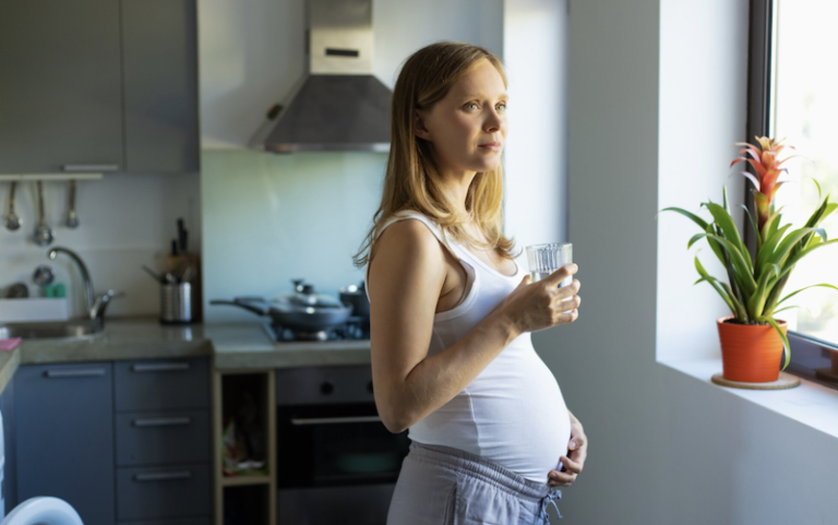 Чи можна вагітним креветки: користь та правила приготування